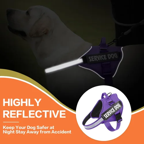 Vista 7 de MUMUPET Arnés para perro, chaleco reflectante sin tirones, arnés transpirable ajustable para mascotas con asa para caminar al aire libre, no más