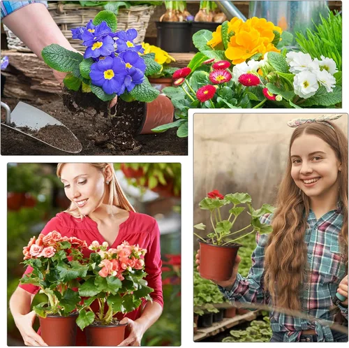 Vista 6 de Plantas de plástico de 6 pulgadas, macetas de inicio de semillas, macetas de siembra, macetas de plántulas, contenedor para plantas de flores