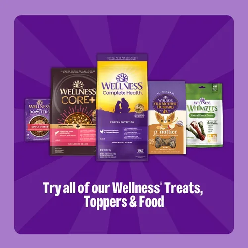 Vista 8 de Wellness CORE Healthy Joints Golosinas suaves para perros, naturales, sin granos, receta de carne, bolsa de 9 onzas