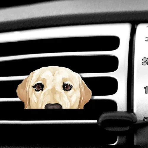 Vista 10 de WIRESTER Clip de ventilación con aroma fresco para automóvil, accesorios decorativos, decoración interior para autos