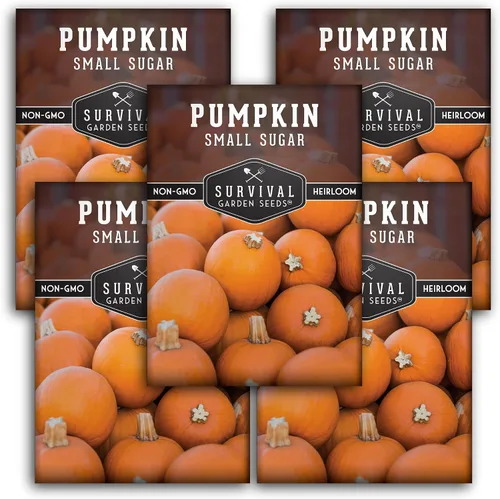 Vista 11 de Survival Garden Seeds - Semillas pequeñas de calabaza de azúcar para plantar - 1 paquete con instrucciones para cultivar calabazas de pastel