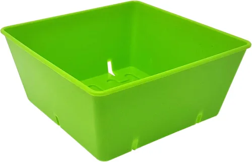 Vista 5 de Bootstrap Farmer Paquete de 40 bandejas de cultivo de 5 x 5, insertos extra gruesos para microverdes, pasto de trigo y propagación de plántulas
