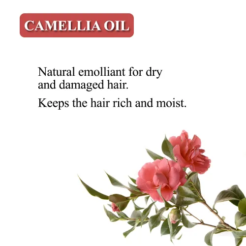 Vista 2 de Karma Naturals Barra de champú con té verde - El cuidado del cabello ayuda a garantizar un cabello nutrido y saludable