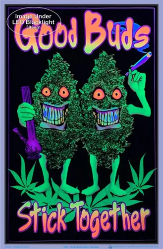 Vista 2 de Scorpio Posters Good Buds Stick Together - Póster con luz negra de marihuana, laminado, 23.5 x 35.5 pulgadas