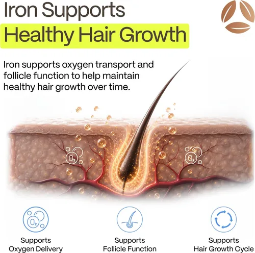 Vista 4 de DermaIRON Suplemento de hierro para mujeres y hombres, plancha suave para baja ferritina y apoyo a la anemia, adelgazamiento del cabello y apoyo a