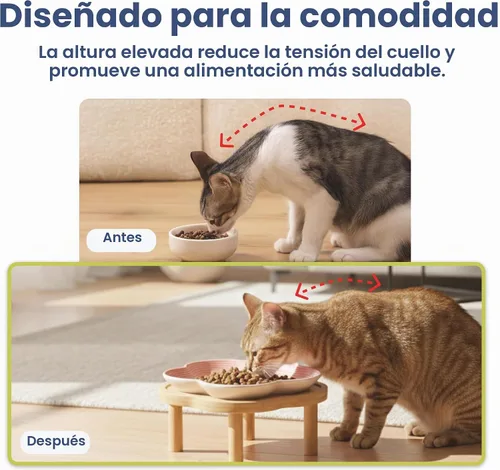 Vista 6 de PawsPik Plato de cerámica para gatos con soporte de bambú elevado, color Rosa