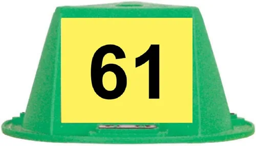 Vista 18 de Toppers magnéticos para techo, sombreros magnéticos para automóvil, juego de 10 unidades, con numeración (azul, numerados del 1 al 10)