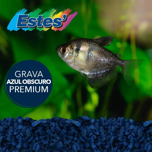 Vista 4 de Spectrastone - Grava de acuario azul especial para acuarios de agua dulce, bolsa de 5 libras