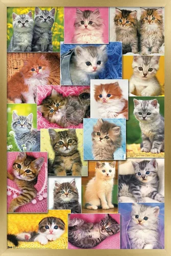 Vista 15 de Trends International Keith Kimberlin - Póster de pared de collage de gatitos, 14.725 x 22.375 pulgadas, versión enmarcada de madera de granero