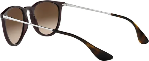 Vista 5 de Ray-Ban Rb4171 Erika - Lentes de sol redondas
