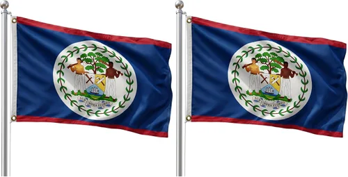 Vista 49 de DMSE - Bandera nacional beninesa beninesa de la República de África Occidental, 2 x 3 pies, 100 % poliéster, 100 % poliéster, resistente a los rayos