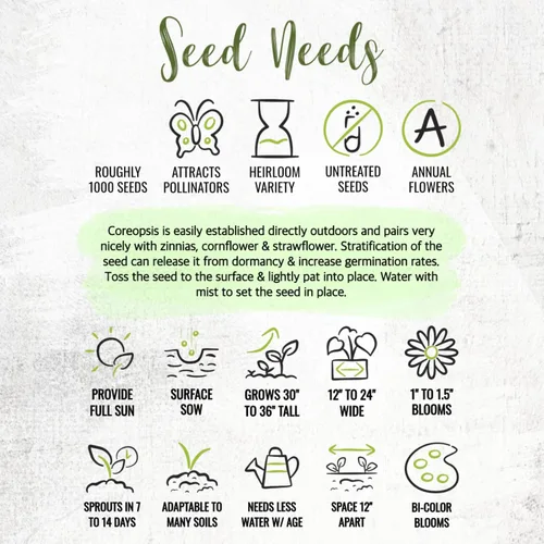 Vista 8 de Seed Needs Coreopsis Plains - Semillas para plantar flores amarillas al aire libre, 1 paquete