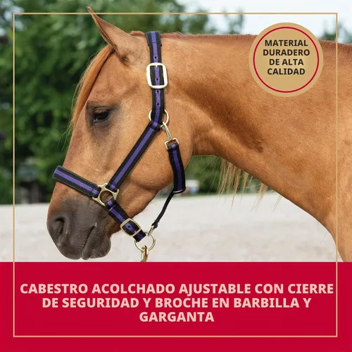 Vista 2 de Weaver Leather Dogal acolchado y ajustable a barbilla y garganta, 1 pulgada, para caballo tamaño promedio