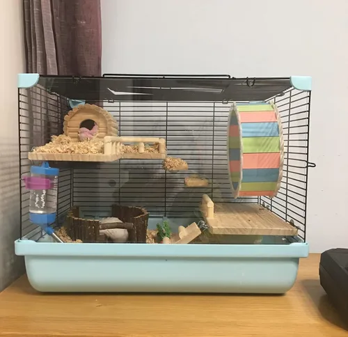 Vista 3 de Plataforma de madera con escalera, estructura de actividad para mascotas, pájaro, chinchilla, conejillo de indias, hámster, accesorios de jaula