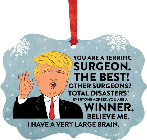 Vista 71 de Andaz Press Presidente Donald Trump Fancy Frame Recuerdo Adorno de Navidad Regalo de broma, excelente contador, 1 paquete, divertidas ideas