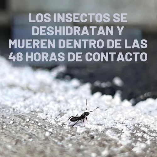 Vista 4 de Tierra de diomateas para chinches, pulgas hormigas Safer Brand 51703, mata insectos rastreros, 4 Lb