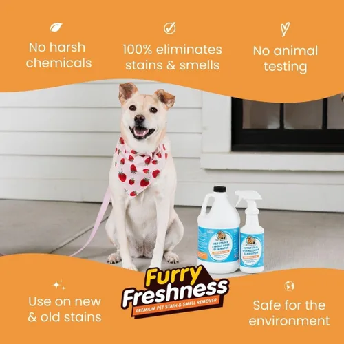 Vista 4 de FurryFreshness Extrafuerte mancha de orina de gato o perro y removedor permanente de olores + eliminador de olores – Elimina manchas de mascotas