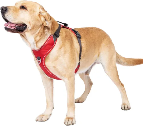 Vista 6 de Arnés para perro sin tirones con 2 clips para correa, chaleco reflectante, ajustable y acolchado, clips delanteros y traseros fáciles de caminar