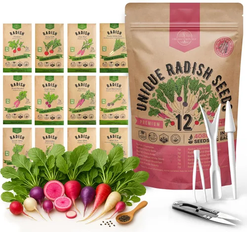 Vista 9 de Organo Republic Paquete variado de 8 semillas de cebolla reliquia, sin OGM, juegos para jardinería en interiores y exteriores. Más de 2200 semillas