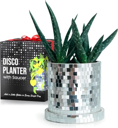 Vista 6 de SCANDINORDICA Maceta de bola de discoteca – Jarrón de bola de discoteca de espejo de 4.3 pulgadas, maceta de discoteca, macetas de cerámica