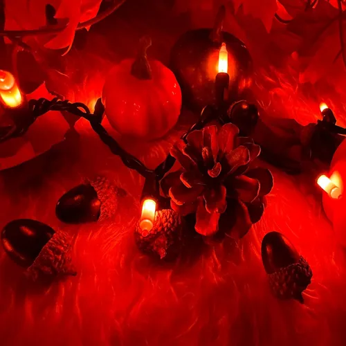 Vista 6 de HISHINY - Extensión de luces de Halloween color naranja, 100 luces incandescentes con cable negro, ideal para decoraciones de Halloween