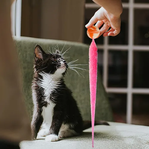 Vista 5 de SHENGSEN Pelota que Rebota con Cola Juguetes para Gatos-5 Paquetes, Gusano Mágico con Juguete de Pelota Grande y Colorida para Gatos, Pelotas que