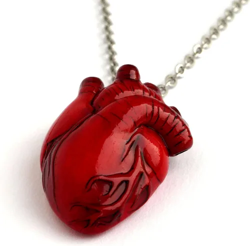 Vista 13 de Collar de corazón anatómico