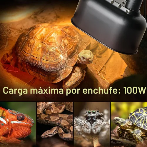 Vista 5 de Simple Deluxe Lámpara de reptil de doble cúpula con interruptores separados, se adapta a una lámpara de calor de reptiles de 100 W/luz UVB