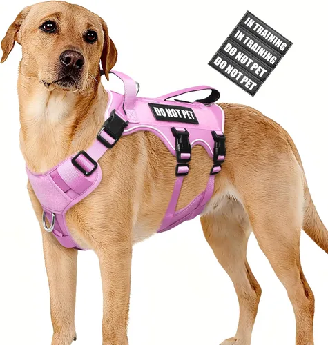 Vista 10 de WINSEE - Arnés para perro a prueba de fugas, arnés Molle de servicio y trabajo con doble asa, chaleco táctico para mascotas con 4 parches