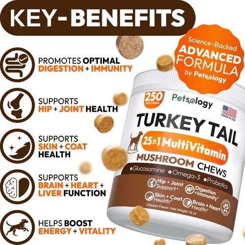 Vista 3 de Hongo de cola de pavo para perros – 250 masticables – Melena de león – Shiitake – Reishi – Protector de apoyo inmunológico Buddy – Suplemento