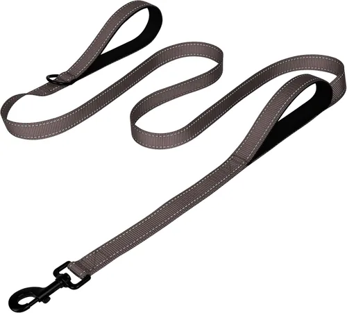 Vista 9 de Joytale - Correa reflectante de doble cara para perro, 6, 5 y 4 pies, resistente de nailon, asa acolchada, para pasear perros pequeños y medianos