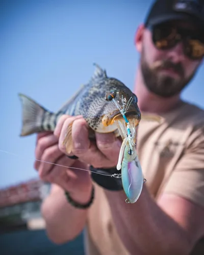 Vista 3 de Nomad Design Señuelo de pesca vibratorio patentado original de Squidtrex – Señuelo de plástico suave TPE con aroma añadido para agua salada