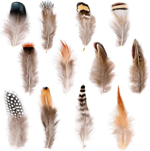 Vista 7 de Ballinger - Plumas naturales surtidas para manualidades, 180 unidades, 9 estilos Small Real Pheasant Bird Feathers for DIY Crafting,Jewelry,Dream
