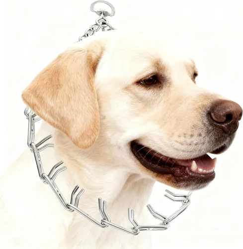 Vista 11 de Collar de entrenamiento para perros con puntas curvadas con anillo giratorio ajustable