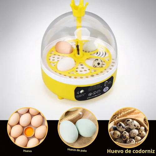 Vista 6 de Mini incubadora de huevos, incubadora de 4 huevos, máquina para eclosionar el hogar, control automático de temperatura y humedad para granja, aula