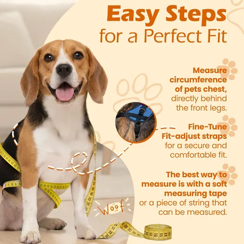 Vista 4 de Bark Appeal - Arnés para perro Aqua Blue sin tirones para mascotas de tamaño extra pequeño – Chaleco reflectante ajustable con 3 clips de correa