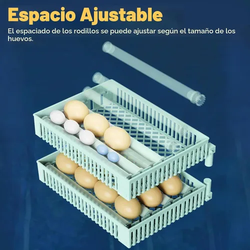 Vista 5 de Incubadora de huevos de 24 huevos Turner automático Control