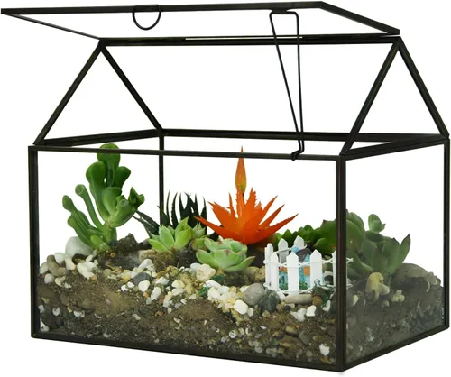 Vista 4 de Black 1 Kit de terrario de planta de vidrio grande con invernadero de labios para suculentas