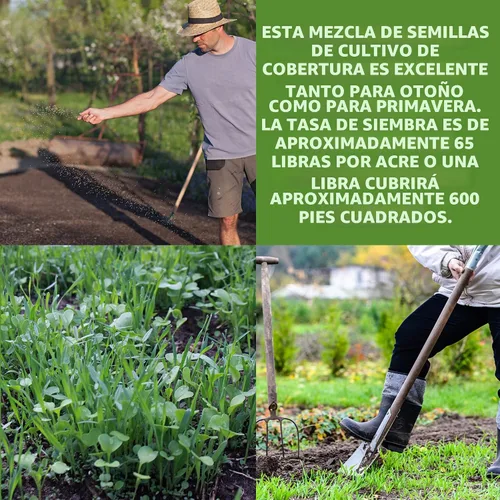 Vista 4 de Mezcla de semillas para cultivo sin labranza y cubierta de jardín y huerto - 2.27 Kg - Mezcla de semillas para cultivo de cubierta de jardín: vezo