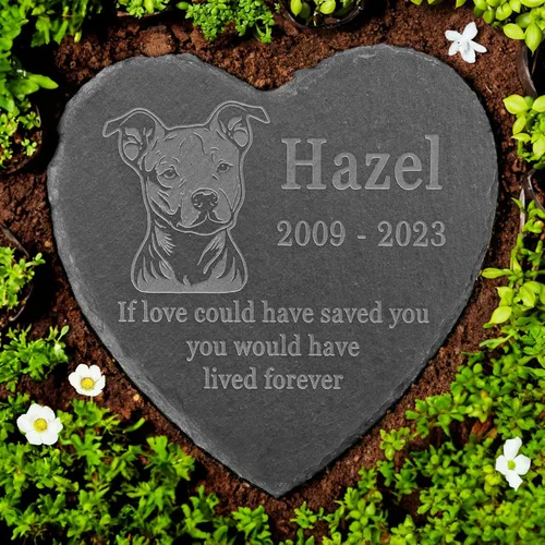 Vista 22 de Memorial personalizado de American Staffordshire Terrier, lápida de American Staffordshire Terrier, condolencias por pérdida de American