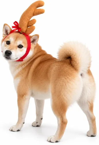 Vista 3 de ComfyCamper - Disfraz de reno con astas para perro de Halloween - Diadema cosplay de Navidad, talla pequeña, mediana, grande, extragrande para Marrón