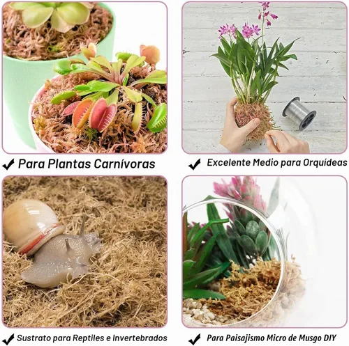 Vista 6 de Halatool - Musgo esfagnum de 3.3 libras para plantas, 60 cuartos de galón de fibra larga musgo de orquídea