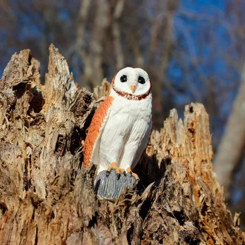 Vista 5 de Safari Ltd. Figura detallada de plástico de 2.75 pulgadas, divertido juguete educativo para niños, niñas y niños a partir de 3 años