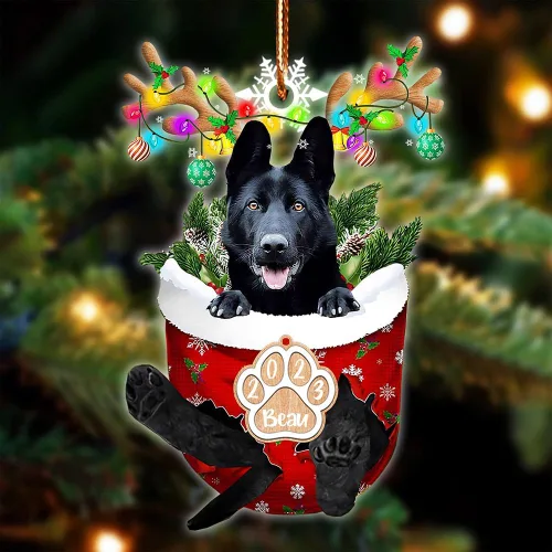 Vista 92 de NAZENTI Adorno Navideño de Bolsillo Personalizado de Affenpinscher en la Nieve, Adorno de Forma Acrílica de Perro, Adorno de Navidad 2023, Adorno