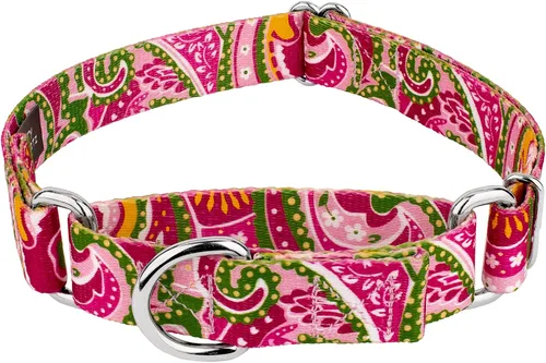 Vista 11 de Country Brook Petz - Collar de perro Martingala de cachemira azul, colección Paisley con diseños elegantes (1/2 pulgada, 2XS)