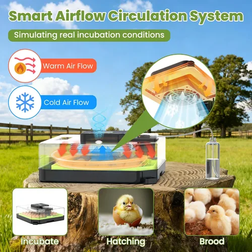 Vista 3 de Incubadora de 48 huevos para incubar huevos con giro automático de huevos, control de temperatura y humedad, incubadora de huevos con ventana