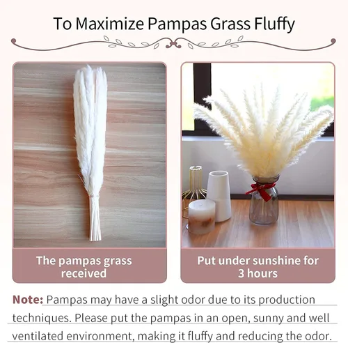 Vista 5 de 60 tallos de 22 pulgadas, flores secas naturales pequeñas de hierba de las pampas, Phragmites Communis, ramo de flores secas para bodas, arreglos