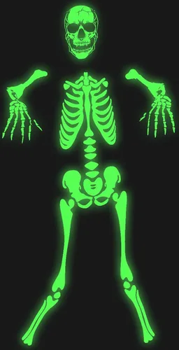 Vista 2 de SIZGAROOT Disfraz de esqueleto para niños, disfraz de esqueleto que brilla en la oscuridad para Halloween