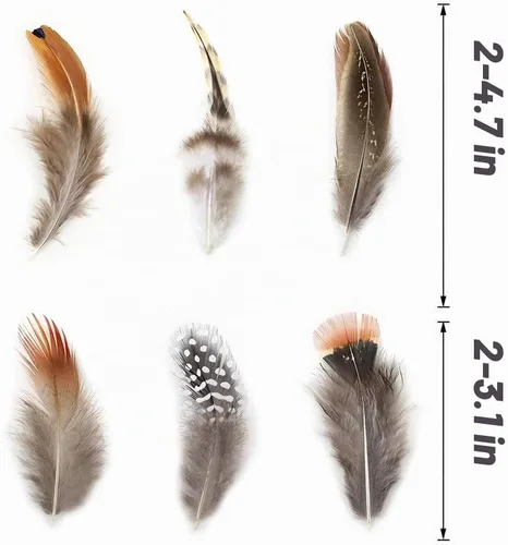 Vista 5 de Ballinger - Plumas naturales surtidas para manualidades, 180 unidades, 9 estilos Small Real Pheasant Bird Feathers for DIY Crafting,Jewelry,Dream
