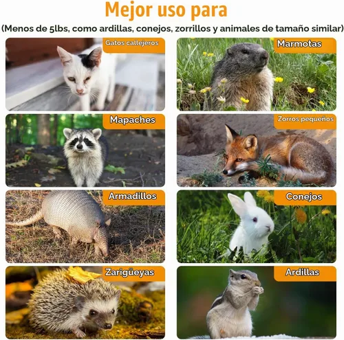 Vista 6 de Trampa de animales vivos plegable jaula humana trampa atrapa